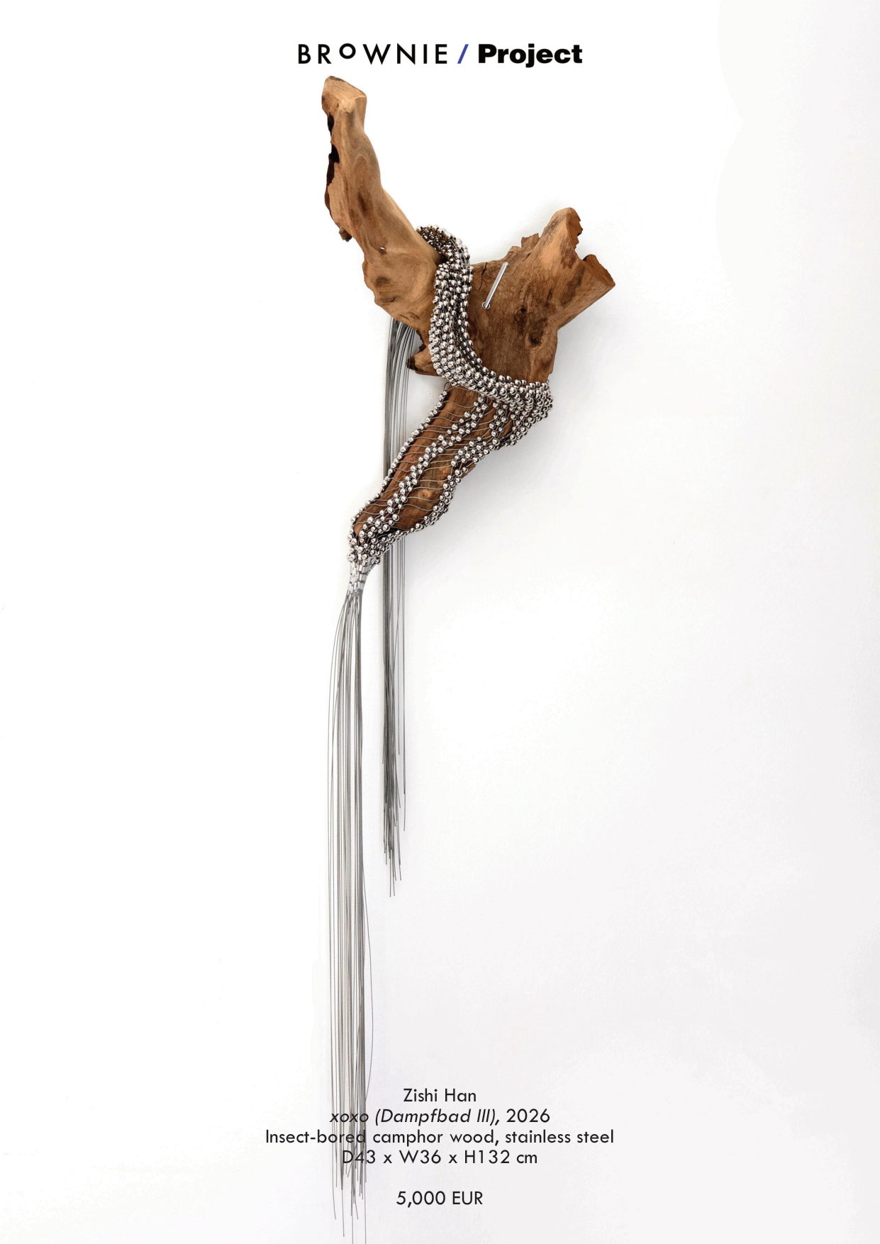 The Latent — BROWNIE Project at Post-Fair Paris — page 3 / 29