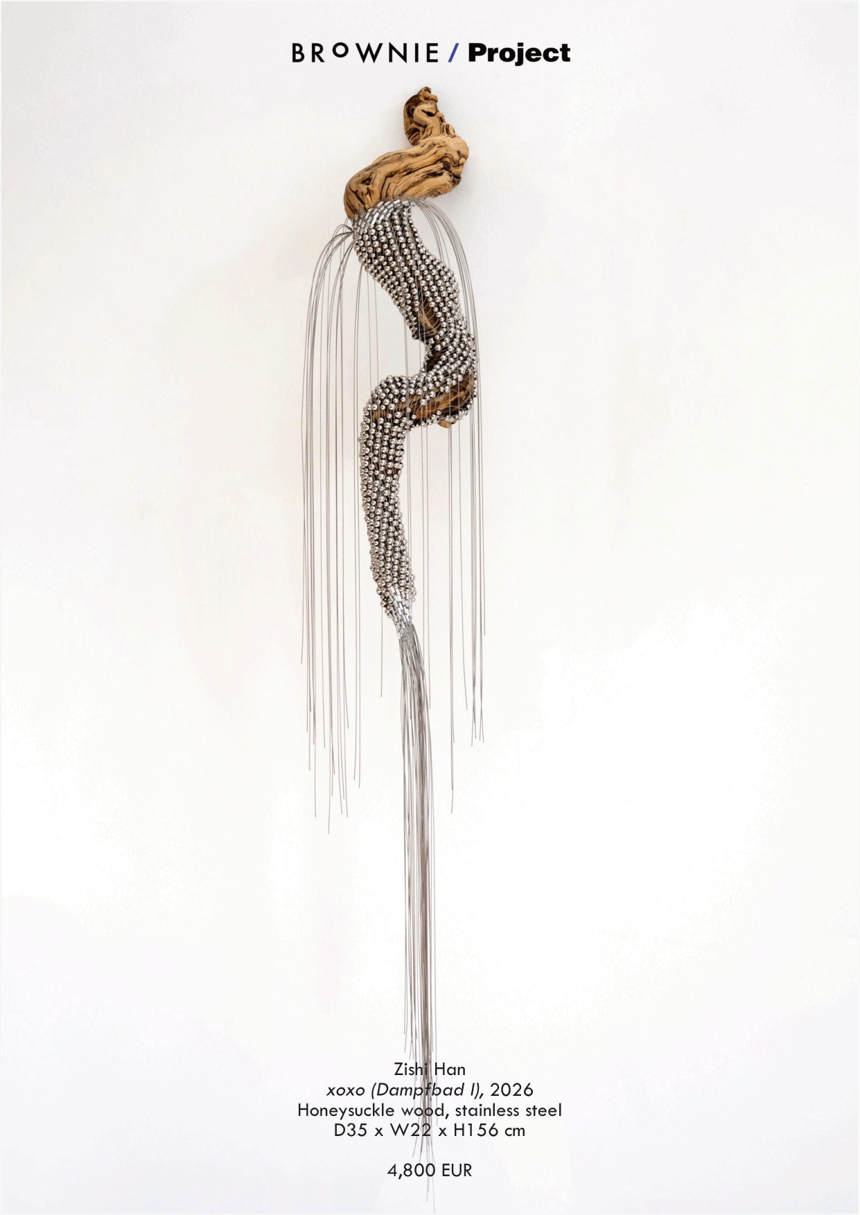The Latent — BROWNIE Project at Post-Fair Paris — page 6 / 29